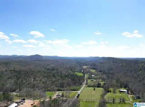 1931 Red Valley Rd, Remlap, AL 35133 photo 14