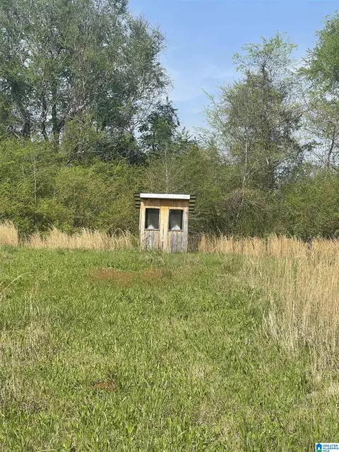 1931 Red Valley Rd, Remlap, AL 35133 photo 17