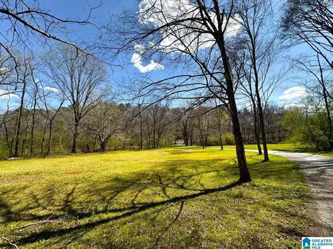 1931 Red Valley Rd, Remlap, AL 35133 photo 3