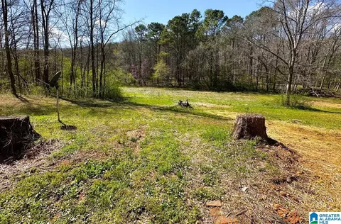 1931 Red Valley Rd, Remlap, AL 35133 photo 6