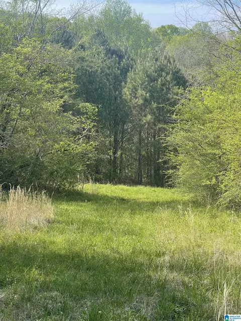 1931 Red Valley Rd, Remlap, AL 35133 photo 7