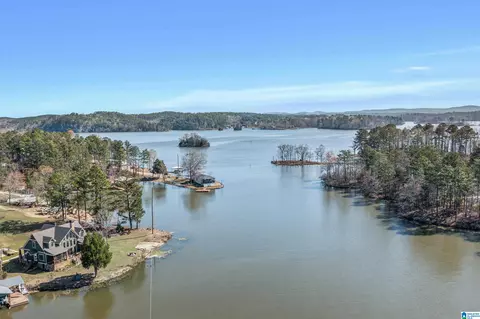 View/Area - 64 County Road 1024, Clanton, AL 35046 photo 2 of 6