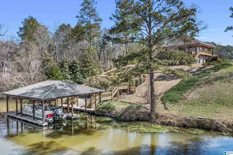 View/Area - 64 County Road 1024, Clanton, AL 35046 photo 3 of 6