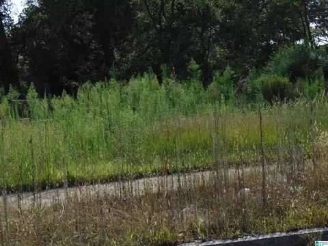 1120 N 30th St #1& 2, Birmingham, AL 35234