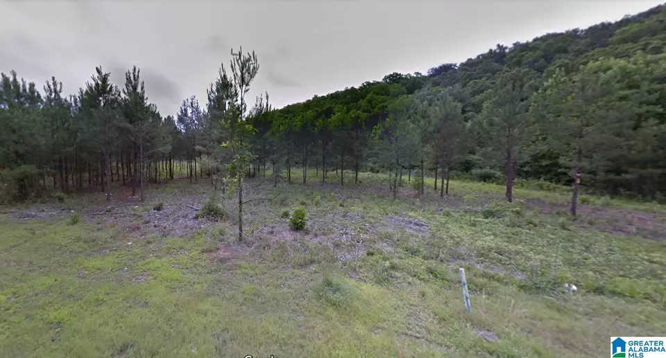  4485 Eaglewood Dr #001.002, Bessemer, AL 35022 photo 2