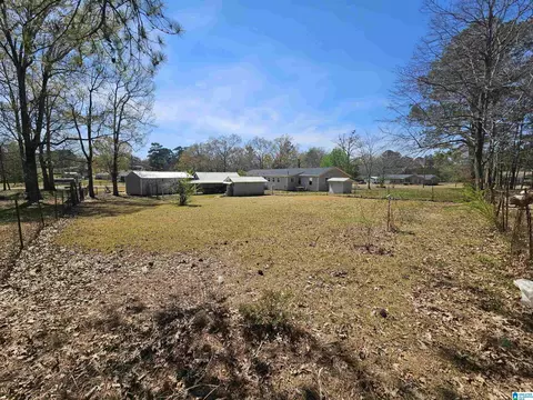 1300 Pineview Ave, Glencoe, AL 35905 photo 39