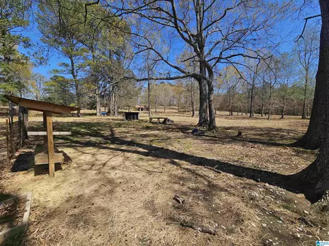 1300 Pineview Ave, Glencoe, AL 35905 photo 36
