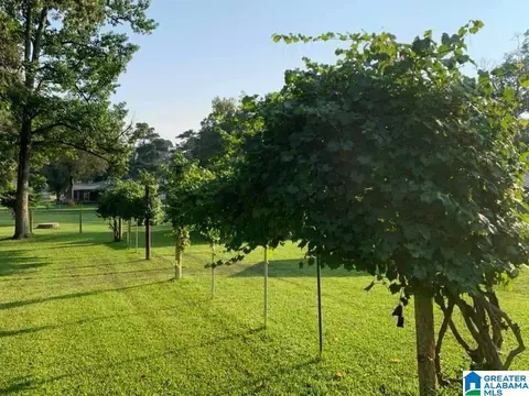 1300 Pineview Ave, Glencoe, AL 35905 photo 3