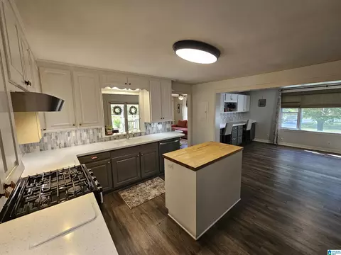 1300 Pineview Ave, Glencoe, AL 35905 photo 10