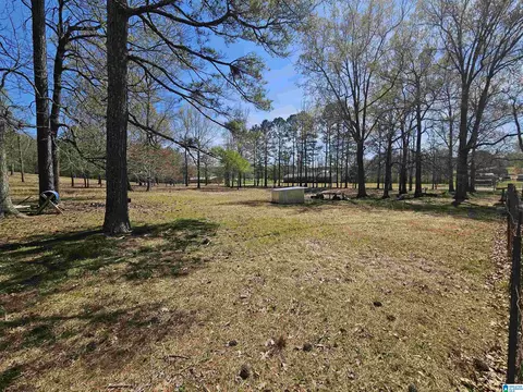 1300 Pineview Ave, Glencoe, AL 35905 photo 38