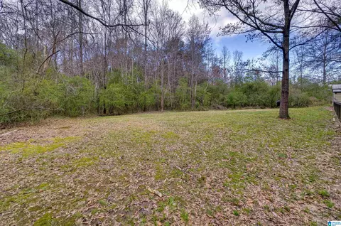 303 Mae St, Clanton, AL 35045 photo 51