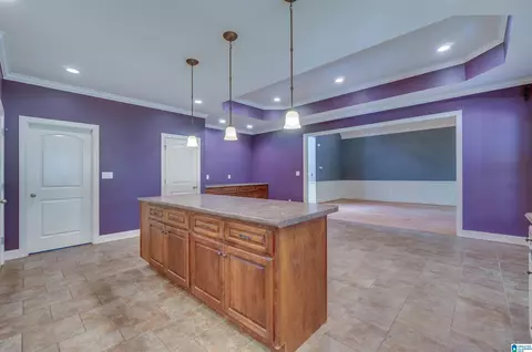 303 Mae St, Clanton, AL 35045 photo 20