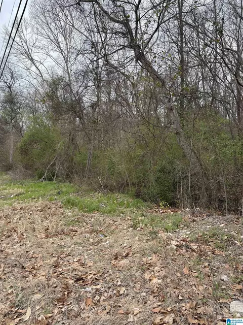 1460 Miles St #000, Dolomite, AL 35061