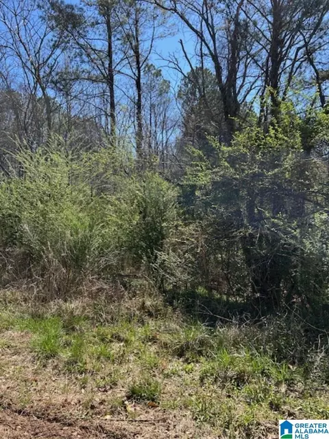 cathedral lane, Mc Calla, AL 35111