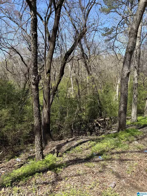 1650 Simmons St #000, Pleasant Grove, AL 35061