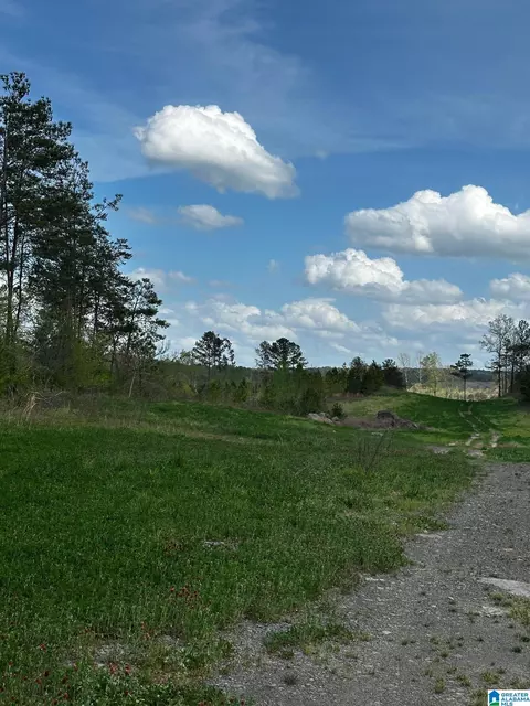 3600 Glovers Bend Rd #1, Dora, AL 35062