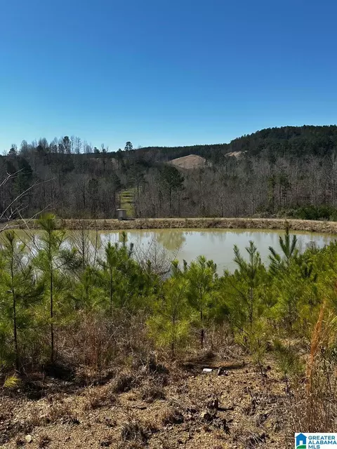 3216 Glovers Bend Rd #1, Dora, AL 35062