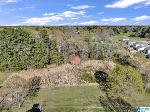 8965 Mosley Loop Rd, Morris, AL 35116 photo 32