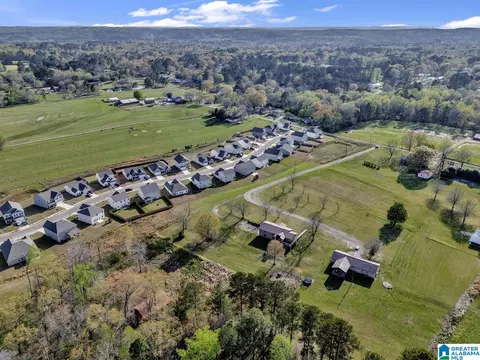 8965 Mosley Loop Rd, Morris, AL 35116 photo 30