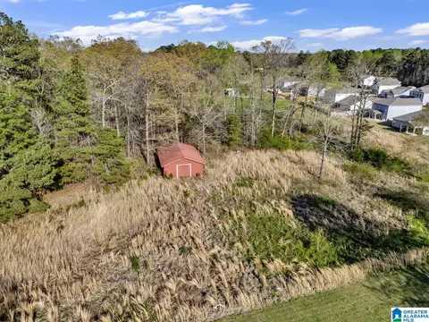 8965 Mosley Loop Rd, Morris, AL 35116 photo 33