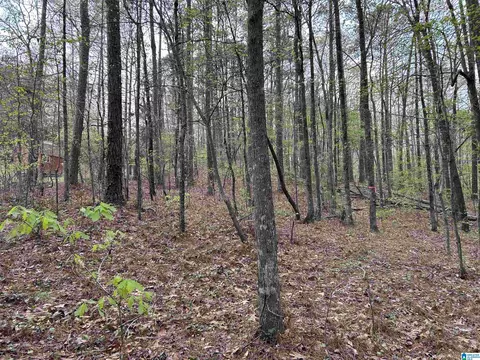 lot12 Circle Dr #12, Lakeview, AL 35111