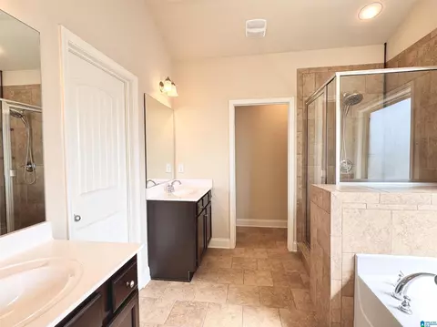 Bath - 228 Red Bay Dr, Maylene, AL 35114 photo 9 of 10