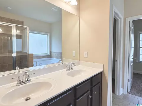 Bath - 228 Red Bay Dr, Maylene, AL 35114 photo 1 of 10