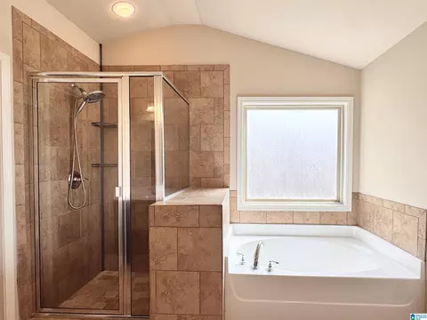 Bath - 228 Red Bay Dr, Maylene, AL 35114 photo 8 of 10