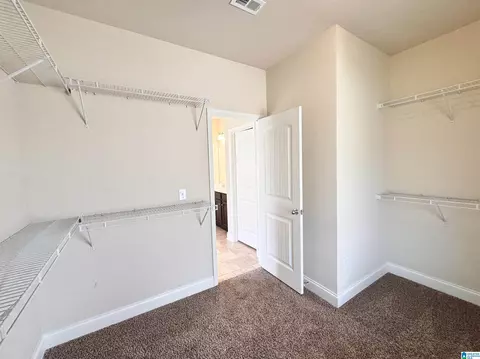 Other - 228 Red Bay Dr, Maylene, AL 35114 photo 7 of 17