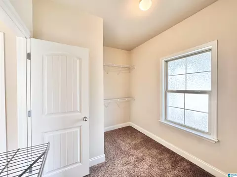 Other - 228 Red Bay Dr, Maylene, AL 35114 photo 8 of 17