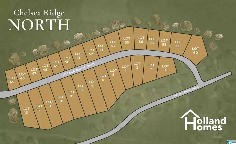 8 Chelsea Ridge Trl, Columbiana, AL 35051 | MLS# 21414792 | 4 Photos ...