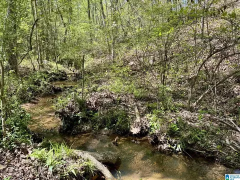 Tract 7 County Road 268 #7, Roanoke, AL 36274