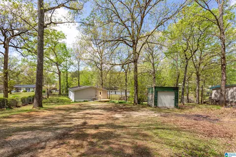 139 Colvard Dr, Ohatchee, AL 36271 photo 28