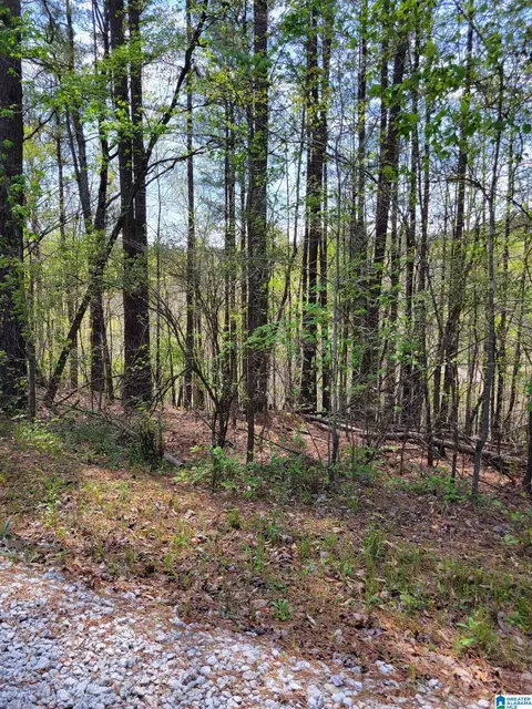 lake geneva drive, Wedowee, AL 36278
