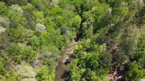 lake geneva drive, Wedowee, AL 36278