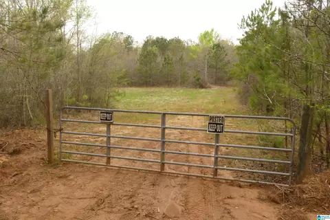 54 Acres County Road 15 #00, Wedowee, AL 36278
