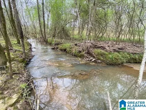 n wolf creek road, Pell City, AL 35125