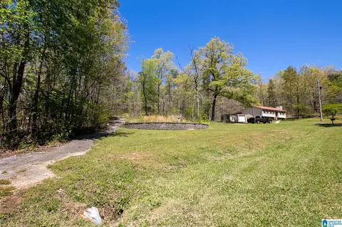Exterior - 133 Cedar Bend Cir, Remlap, AL 35133 photo 14 of 15