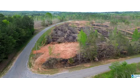 center hill road, Delta, AL 36258