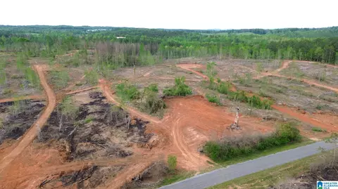 center hill road, Delta, AL 36258