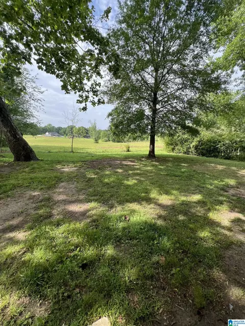 187 Wesson St, Jemison, AL 35085 photo 20
