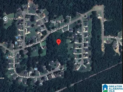7599 Roper Tunnel Rd #1, Trussville, AL 35173