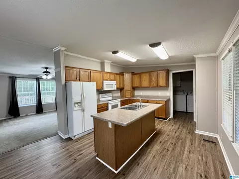 314 Jim Thomas Rd, Hayden, AL 35079 photo 22
