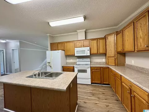 314 Jim Thomas Rd, Hayden, AL 35079 photo 20