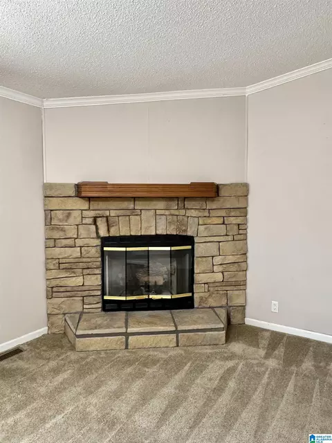 314 Jim Thomas Rd, Hayden, AL 35079 photo 15