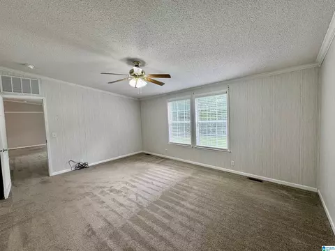 314 Jim Thomas Rd, Hayden, AL 35079 photo 30