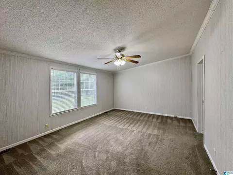 314 Jim Thomas Rd, Hayden, AL 35079 photo 27