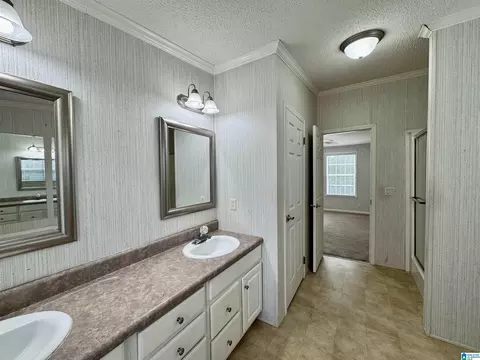 314 Jim Thomas Rd, Hayden, AL 35079 photo 35