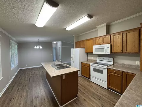 314 Jim Thomas Rd, Hayden, AL 35079 photo 25