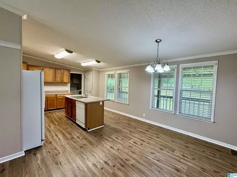 314 Jim Thomas Rd, Hayden, AL 35079 photo 23